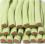 Мармелад жевательный Damel Гигантские палочки Арбуз в сахаре 1650 гр